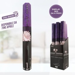 Incenso night queen 20 stick | Starclean