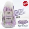 DEO GEL tulipano 150gr lavanda | Starclean