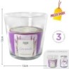 Candela lavanda vaso | Starclean