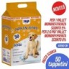 Tappetini igienici cani 60x60cm 50pz | Starclean