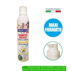 Shamp mousse 300 ml PET sens. camom | Starclean