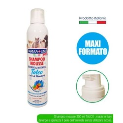 Shampoo mousse 300 ml PET talco | Starclean
