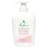 Pino silvestre det.int. 250ml aloe | Starclean