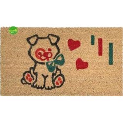 Zerbino cocco rettangolare 40x70 cm | Starclean