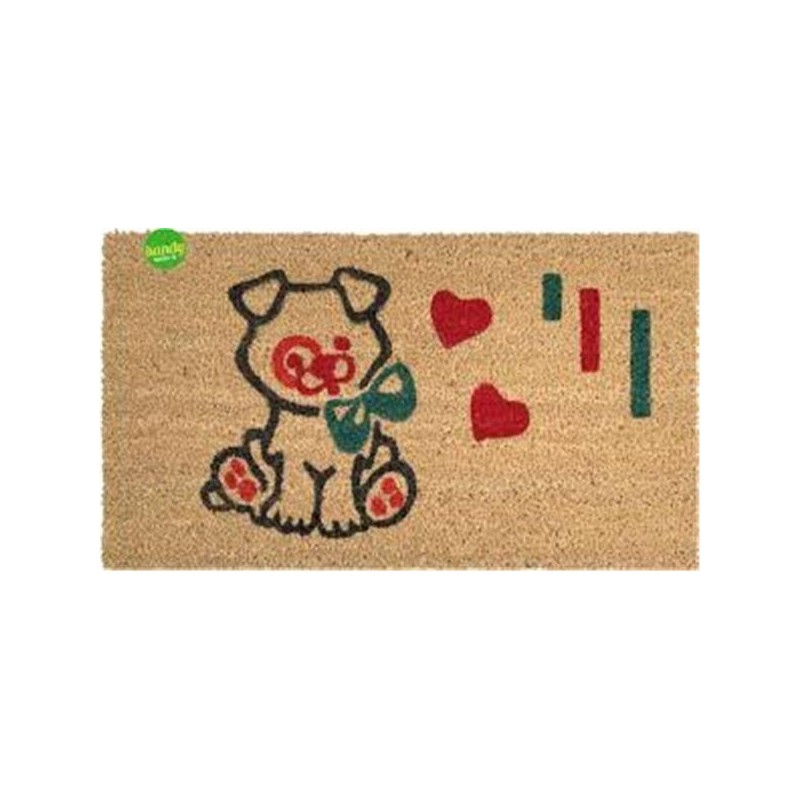 Zerbino cocco rettangolare 40x70 cm | Starclean