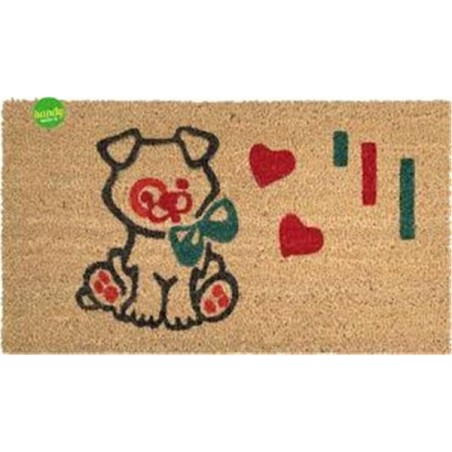 Zerbino cocco rettangolare 40x70 cm | Starclean