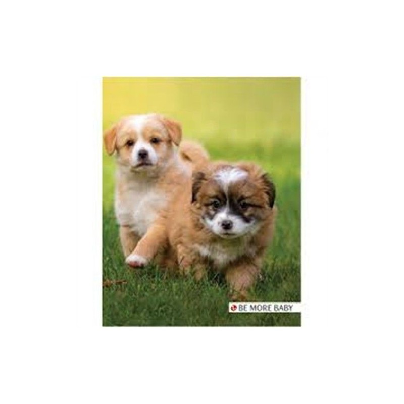 Copertine anelli assortite diam 25 | Starclean