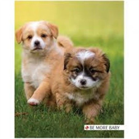 Copertine anelli assortite diam 25 | Starclean