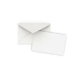 Buste 10 pz con cartoncino 16x11.5 cm | Starclean