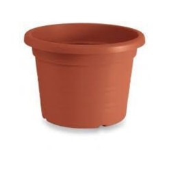 Vaso cilindro cm.16 | Starclean