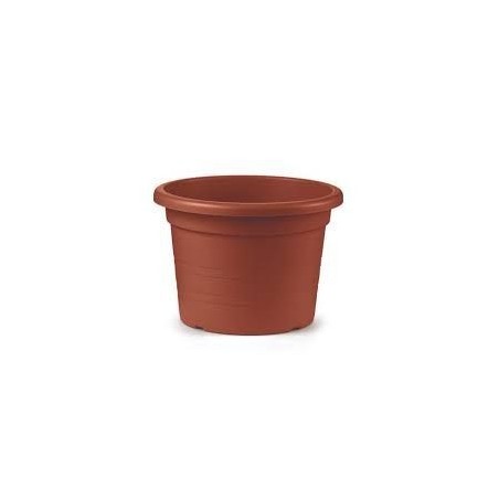 Vaso cilindro cm.18 | Starclean