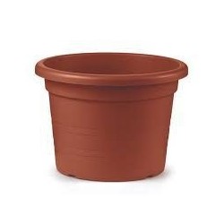 Vaso cilindro cm.14 | Starclean