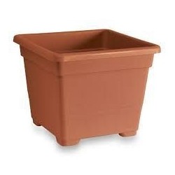 Vaso quadrato campana cm.45 | Starclean