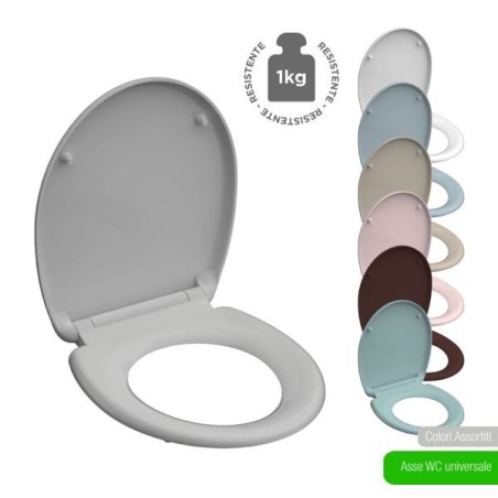 Sedile WC assortiti | Starclean