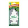 Arbre magique menta glaciale | Starclean