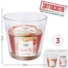 ACM CANDELA APPLE PIE VASO 460G